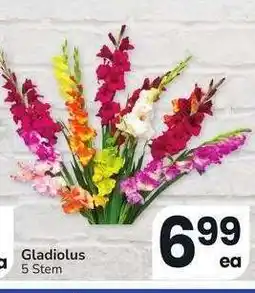 Albertsons GLADIOLUS - 5 Stem offer