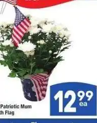 Albertsons 6 Patriotic Mum with Flag offer