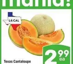 Albertsons Texas Cantaloupe - Large and Juicy offer
