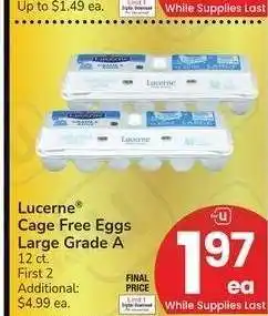 Albertsons Lucerne Cage Free Eggs Large Grade A - 12 ct offer