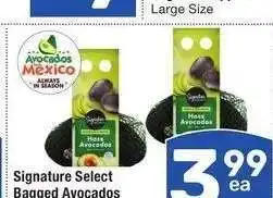 Albertsons Signature Select Bagged Avocados - 7 ct offer