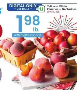 Albertsons Yellow or White Peaches or Nectarines offer