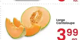 Albertsons Large Cantaloupe offer