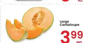 Albertsons Large Cantaloupe offer