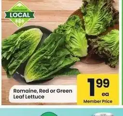 Albertsons Romaine, Red or Green Leaf Lettuce offer