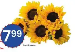 Albertsons Sunflowers offer
