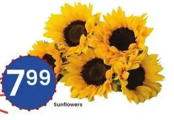 Albertsons Sunflowers offer