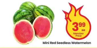 Albertsons Mini Red Seedless Watermelon offer