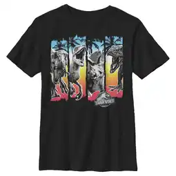 Walmart Boy's Jurassic World Tropical Dinosaurs Panels Graphic Tee Black Small offer