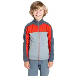 Walmart Dare 2B Boys/Girls Emergent IV Stretch Midlayer offer