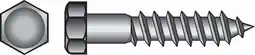 Walmart Hillman 5/16 Zinc-Plated Steel Hex Lag Screw offer