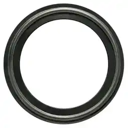Walmart Garlock Gasket,Size 2 In,Tri-Clamp,FKM 40MPSFY-200 offer