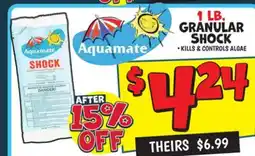 Ollie's 1 LB. GRANULAR SHOCK offer