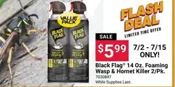 Ace Hardware Black Flag 14 Oz. Foaming Wasp & Hornet Killer 2/Pk offer