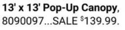 Ace Hardware 13' x 13' Pop-Up Canopy offer