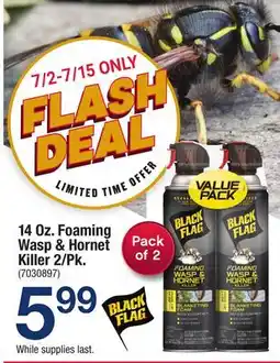 Ace Hardware 14 Oz. Foaming Wasp & Hornet Killer 2/Pk offer