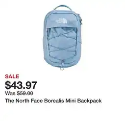 Dick's Sporting Goods The North Face Borealis Mini Backpack offer