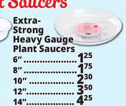 Ocean State Job Lot Plant Saucers offer