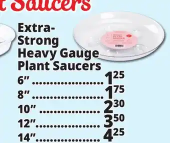 Ocean State Job Lot Plant Saucers offer