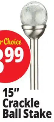 Ocean State Job Lot Outdoor Living Accents Solar Crackle LED Garden Stake 15 offer