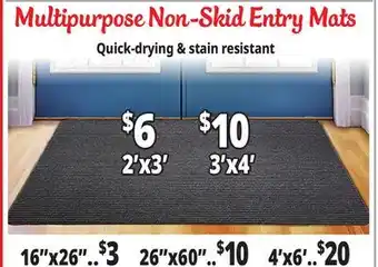 Ocean State Job Lot Multipurpose Non-Skid Entry Mats offer