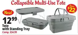 Ocean State Job Lot Tote with Standing Tray offer