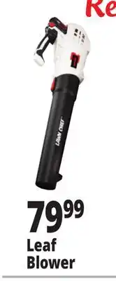 Ocean State Job Lot Leaf Blower offer