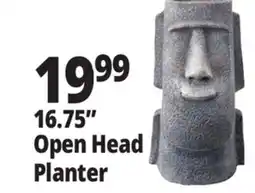 Ocean State Job Lot 16.75 Open Head Planter offer