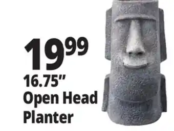 Ocean State Job Lot 16.75 Open Head Planter offer