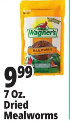 Ocean State Job Lot 7 Oz. Dried Mealworms offer