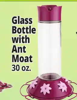 Ocean State Job Lot Glass Bottle with Ant Moat offer
