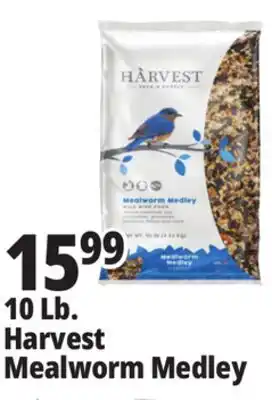 Ocean State Job Lot 10 Lb. Harvest Mealworm Medley offer