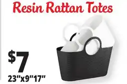 Ocean State Job Lot Resin Rattan Totes offer