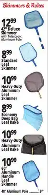 Ocean State Job Lot Skimmers & Rakes offer