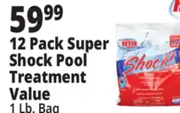 Ocean State Job Lot HTH Super Shock Pool Shock Treatment 12 Count offer
