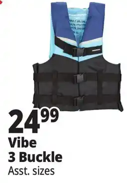 Ocean State Job Lot Vibe 3 Buckle offer