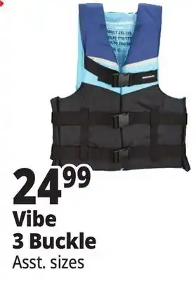 Ocean State Job Lot Vibe 3 Buckle offer