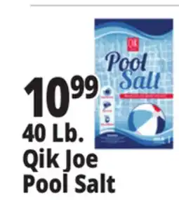Ocean State Job Lot Pool Salt 40 lbs offer