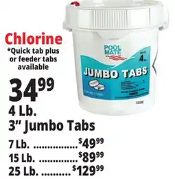 Ocean State Job Lot Pool Feeder Tabs offer