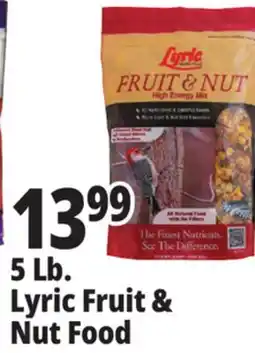 Ocean State Job Lot Lyric Fruit and Nut High Energy Wild Bird Food Mix 5 lbs offer