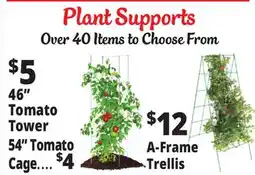 Ocean State Job Lot Plant Supports offer