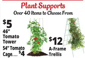 Ocean State Job Lot Plant Supports offer