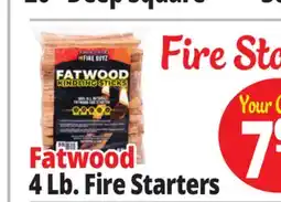 Ocean State Job Lot 4 Lb. Fire Starters offer