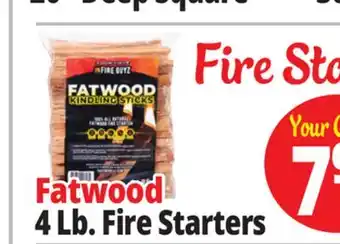 Ocean State Job Lot 4 Lb. Fire Starters offer
