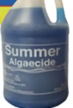 Ocean State Job Lot Summer Algaecide 1 Gal offer