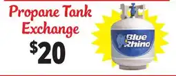 Ocean State Job Lot Blue Rhino Propane Tank Exchange offer