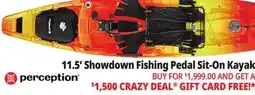 Ocean State Job Lot Perception Showdown 11.5 Fishing Pedal Kayak Dapper offer