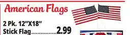Ocean State Job Lot 2-Pack American Flag 12 x 18 offer