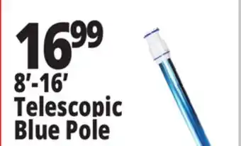 Ocean State Job Lot SwimWorks Telescopic Aluminum Pole offer