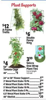 Ocean State Job Lot Plant Supports offer